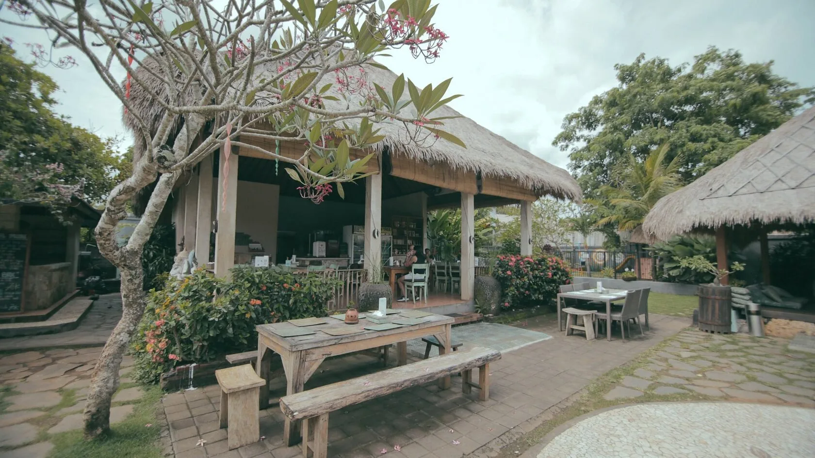 6. The Cashew Tree